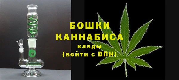гидра Кинешма