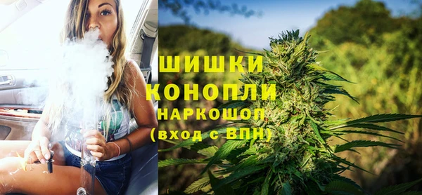 гидра Кинешма