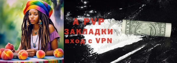 гидра Кинешма